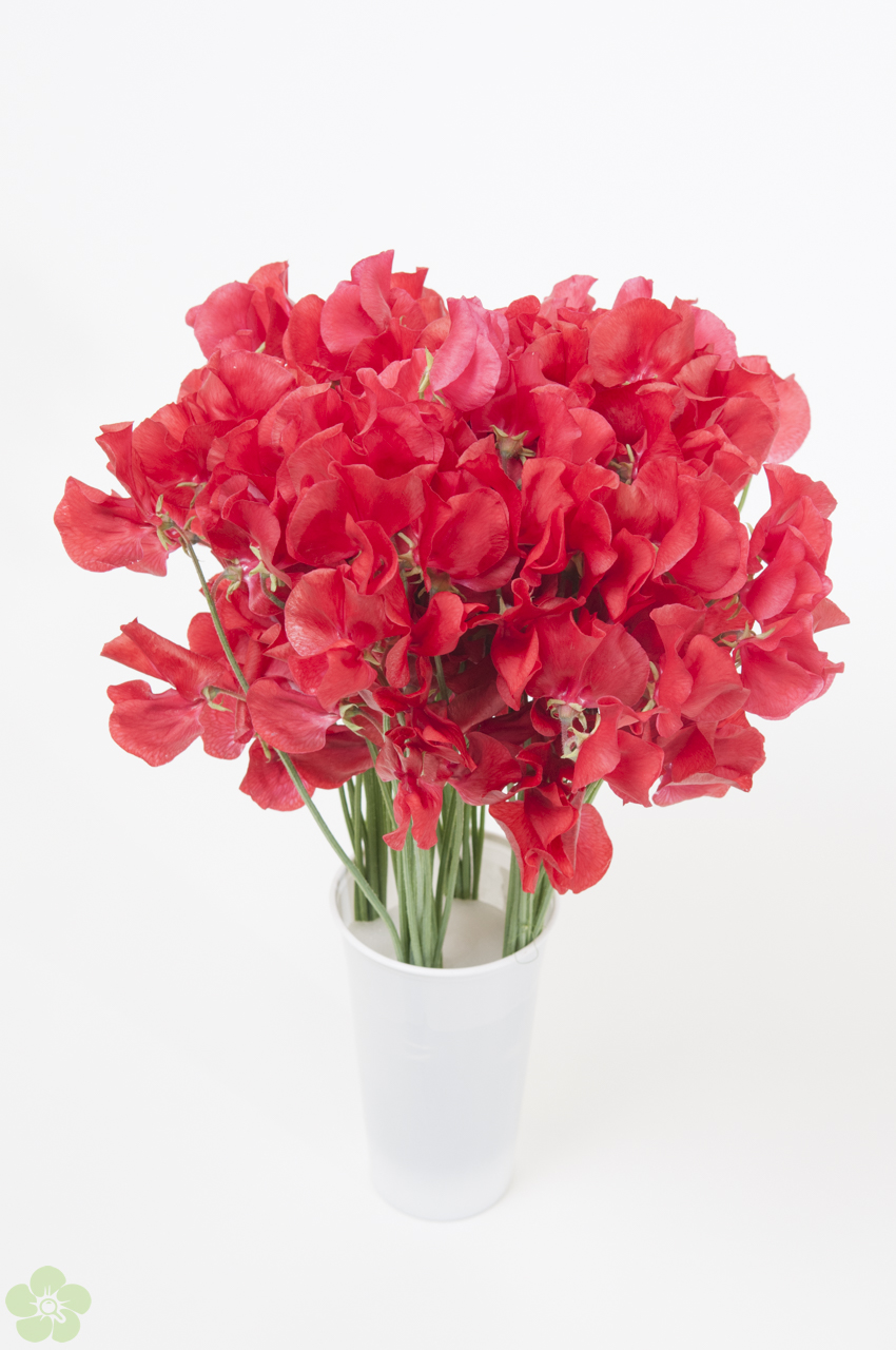 floweracademy