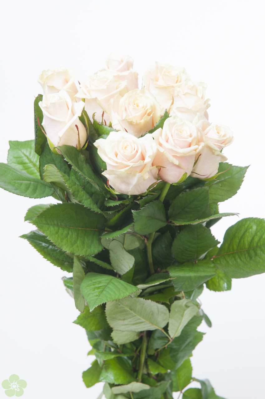 floweracademy