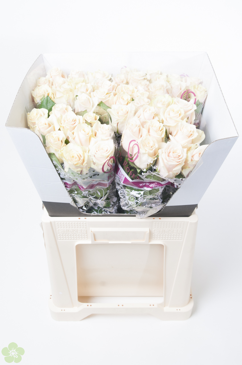 floweracademy