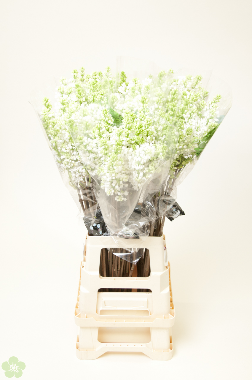 floweracademy