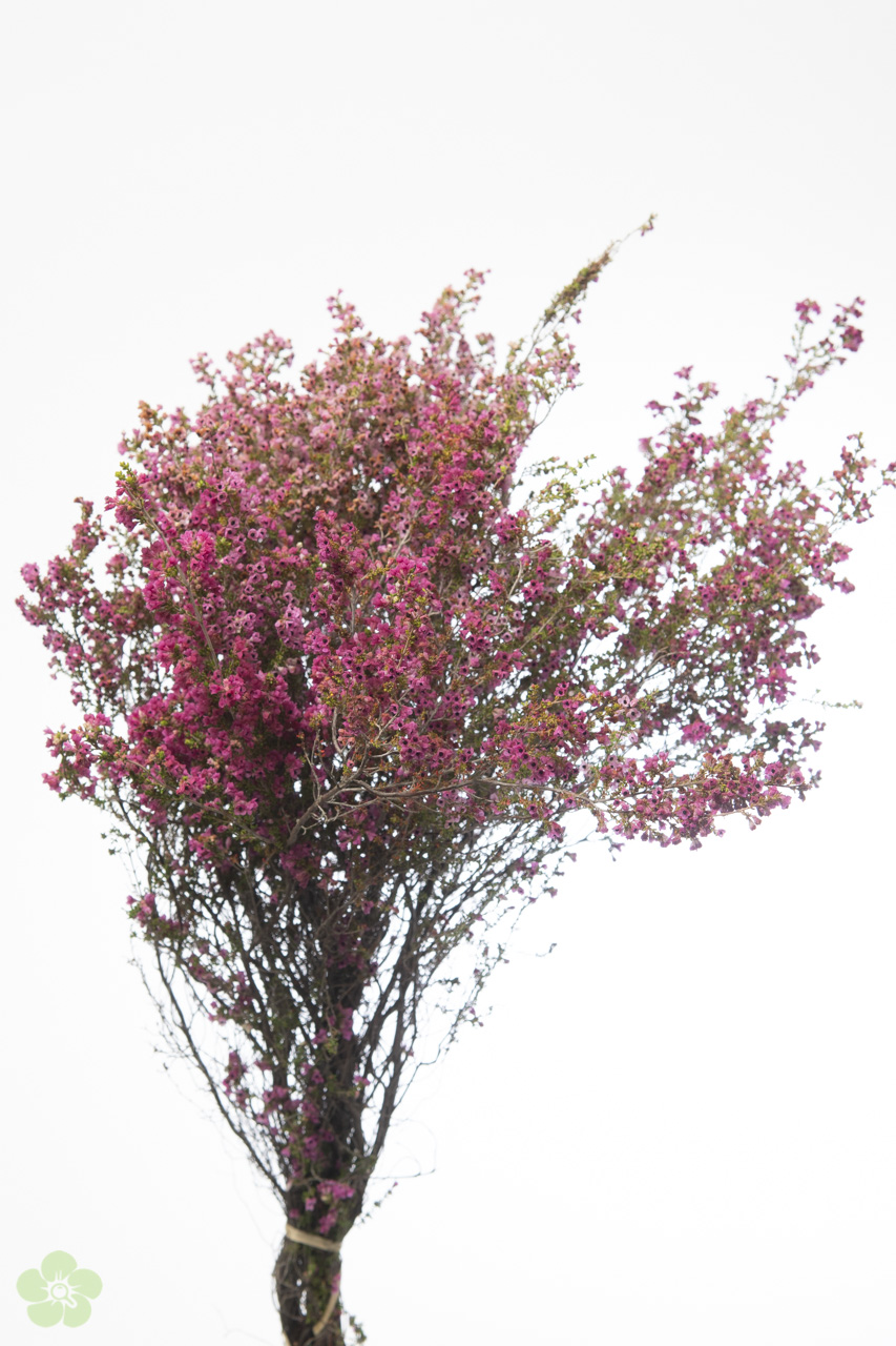floweracademy